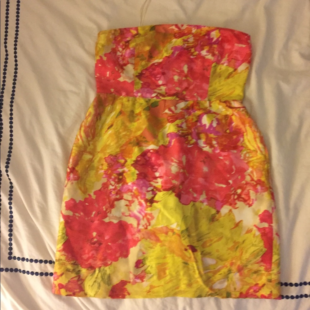 Watercolor Jcrew Dress